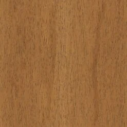 2pk Timo Dining Chair Cream - Threshold™ 15 2pk Timo Dining Chair Cream - Threshold™ -Threshold™ GUEST 5d779e0e 0b3d 4661 9e88 19bec517fd72